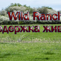 Фото Wild Ranch Передержка животных Воронеж и область