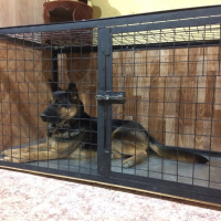 Фото Зоогостиница 