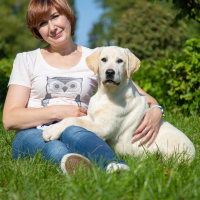 Фото Happy dogs